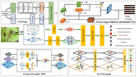 An Effective Pyramid Neural Network Based on Graph-Related Attentions ...