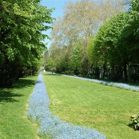 CISMIGIU PARC (2024) All You Need to Know BEFORE You Go (with Photos ...