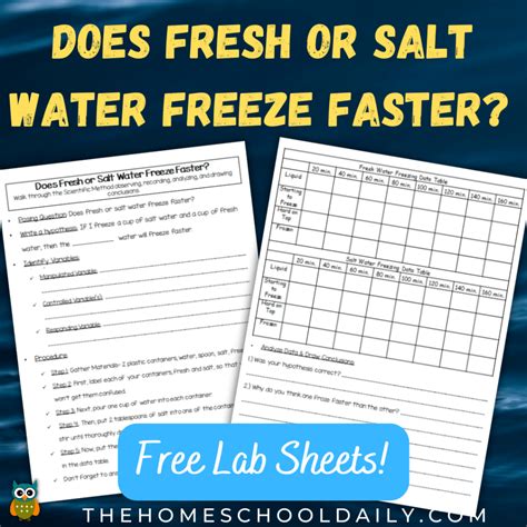 Does Fresh or Salt Water Freeze Faster? - The Homeschool Daily