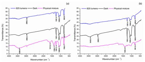 Implications of White Light-Emitting Diode-Based Photoirradiation on ...