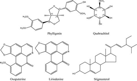 Correction: Moharam et al., Inhibitory Effects of Phylligenin and ...