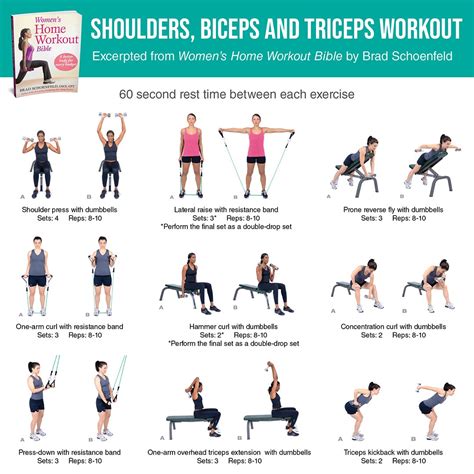 Triceps And Biceps Workout 5 Killer Back And Bicep Workouts For