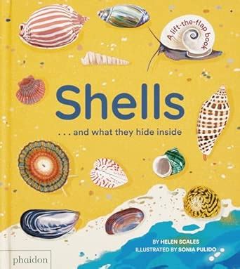 Shells... and what they hide inside: A Lift-the-Flap Adventure : Scales ...