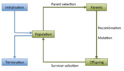 Evolutionary Computing Optimization Algorithm 的图像结果