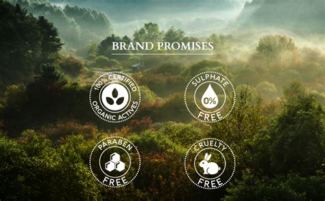 Lotus Organics+ Sheer Brightening Mineral Sunscreen | Non Greasy ...