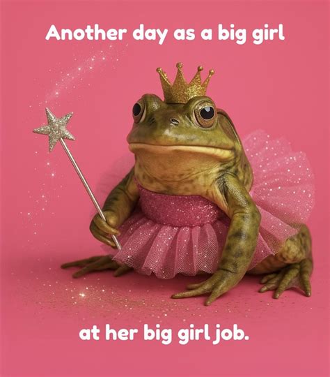 Animation Memes Polar Summit 的图像结果