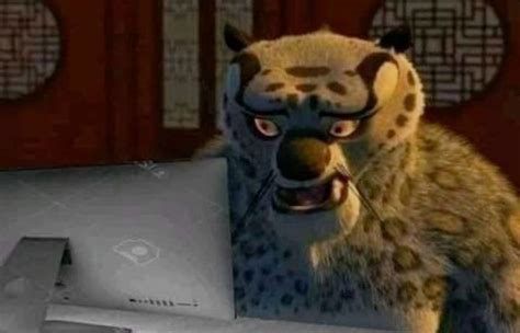 Kung Fu Panda Memes