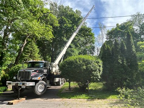 Image result for Telehandler Tree Care