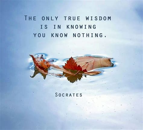 Knowledge Wisdom Quotes 的图像结果