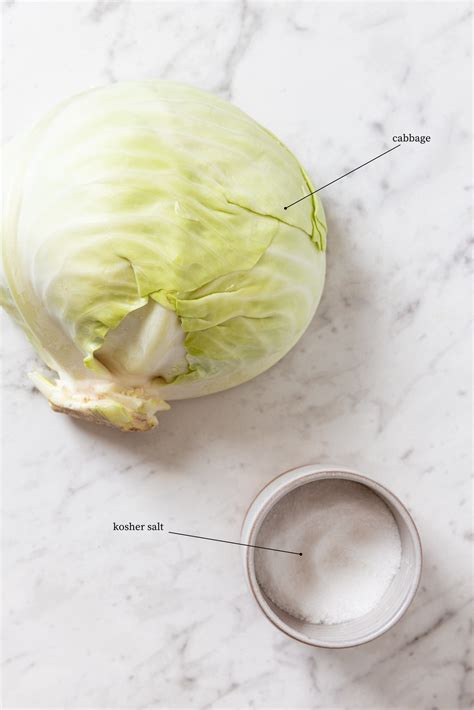 How to Make Homemade Sauerkraut - Wyse Guide