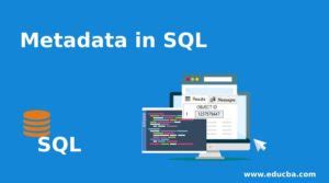Image result for Metadata for SQL Database
