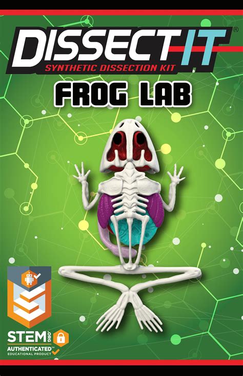Image result for Dissecting a Frog Lab