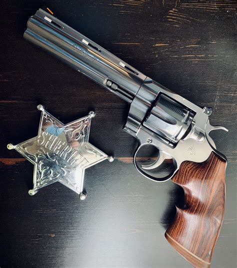 Image result for 2020 Python Revolver