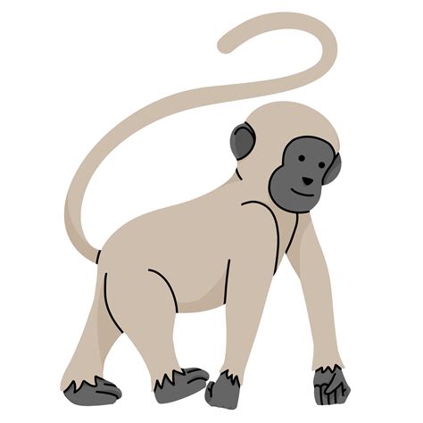 longue queue singe mignonne illustration 21014292 PNG