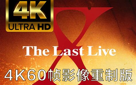 【4K60帧】X JAPAN THE LAST LIVE 演唱会 4K影像重制 中文字幕完整版 琴师小K独家制作_哔哩哔哩_bilibili