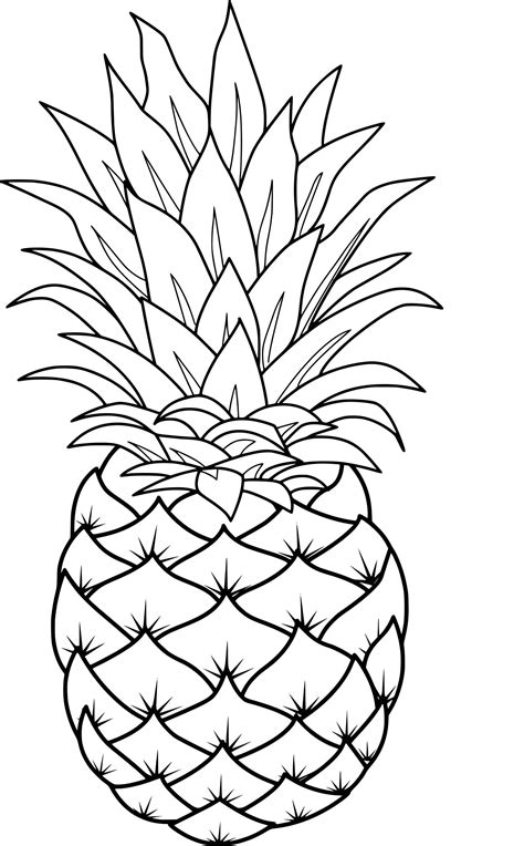 Pineapple Coloring Pages to Print - Free Printable Coloring Pages