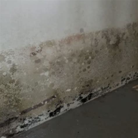 Image result for Basement Humidity Level