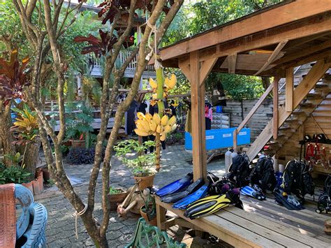 Is It Safe to Travel to Roatan, Honduras? Your Complete 2025 Guide ...