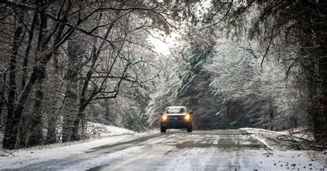 Exploding Tree Exhibit 的图像结果