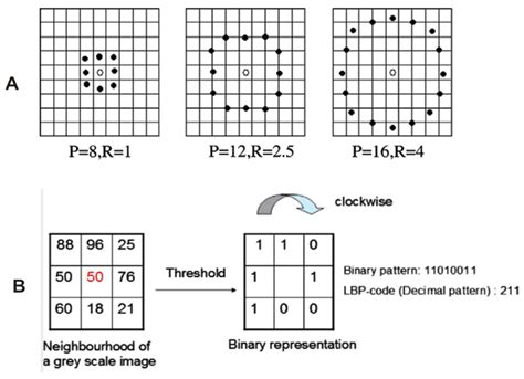 Down Syndrome Face Recognition: A Review