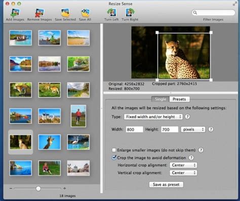 VeprIT Resize Sense is batch image resizer for OS X | MacTech.com