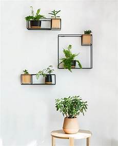 Beautiful Floating Shelf With In Built Planter by Product Of The Week Beautiful Floating Shelf With Inbuilt Beautiful Floating Shelf With In Built Planter