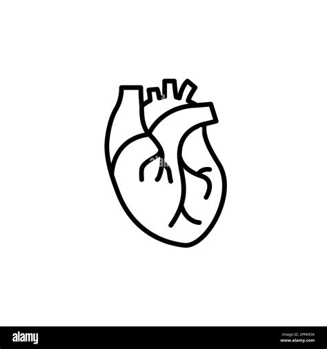 Anatomically Correct Heart Outline