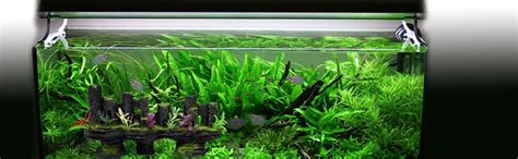 Sri Resin Human Skull Aquarium Decoration For Fish Tank (Grey Black ...