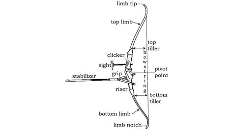 The Recurve Bow — Easton Foundations