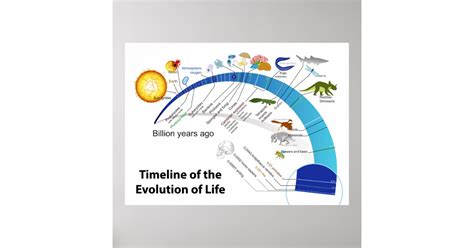 Evolution of Life 的图像结果