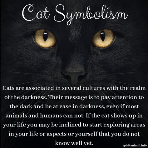 Black cat symbolism meaning – Artofit
