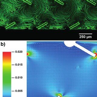 Image result for Sharp Edge Simulation