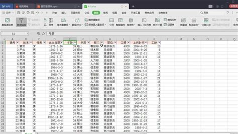 wps数据验证选项在哪里-百度经验