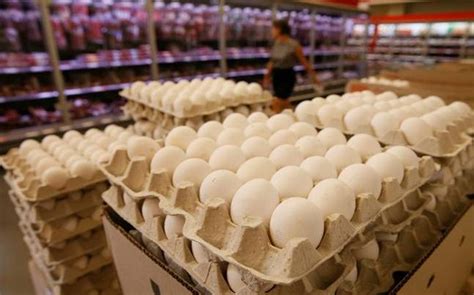 Eggly truth: In Kerala, artificial Chinese eggs leave a bad taste in ...