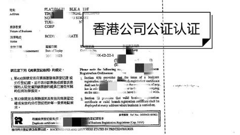 香港公司授权书公证及高院加签所需资料|授权书|公证|海牙_新浪新闻