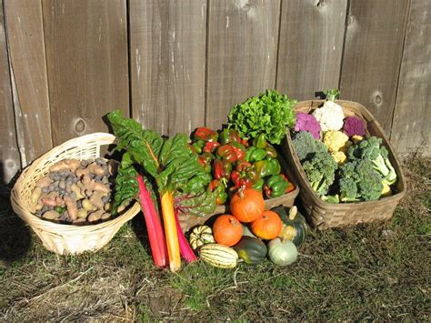 Produce 的图像结果