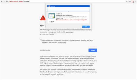 Access Localhost 的图像结果