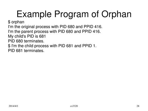 Orphan Process Example 的图像结果
