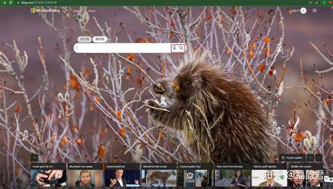 Bing 图片识别 的图像结果