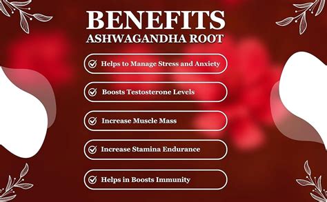 BIRJU MAHAVIR 400 Gr Ashwagandha Root - Withania Somnifera Root ...