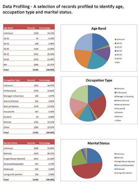 Image result for Dynamics Data Profiling Logo