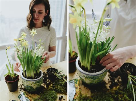 Image result for Using a Bulb Planter