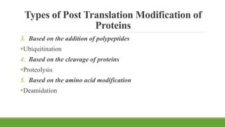 Most Common Post Translation Modification of Protein 的图像结果