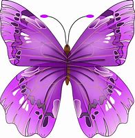Image result for Monarch Butterfly Coloring