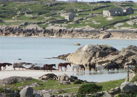 Loughrea Tourism (2023): Best of Loughrea, Ireland - Tripadvisor