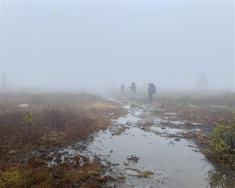 Dolly Sods Wilderness, West Virginia, USA : backpacking