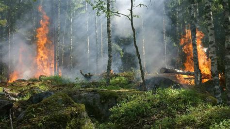 Earth's Average Temperature for 2025-29 Likely to Exceed 1.5 Deg C ...