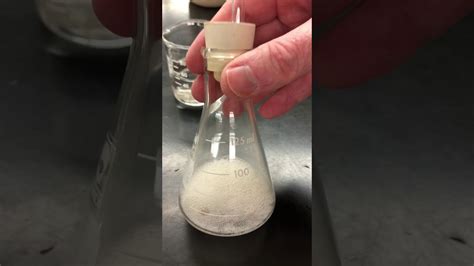 Image result for Gas Laws Lab