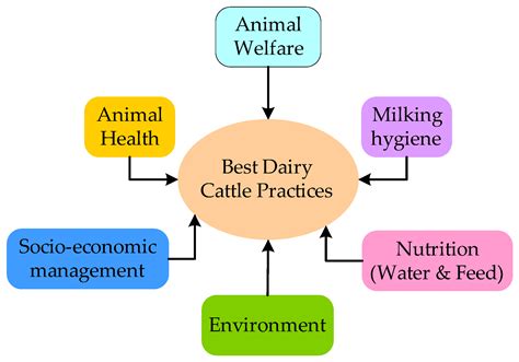 Dairy 4.0: Intelligent Communication Ecosystem for the Cattle Animal ...