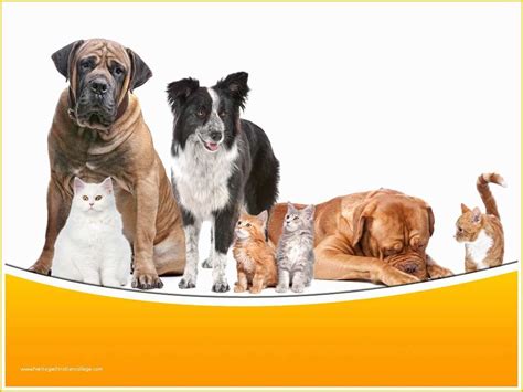 Image result for PowerPoint Templates Free Download